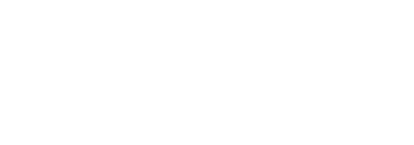 BZ Basel