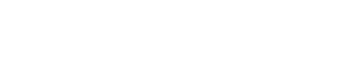 Rudolf und Lina Wirz Stiftung